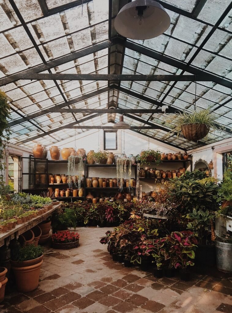 Indoor Plant Decor Ideas